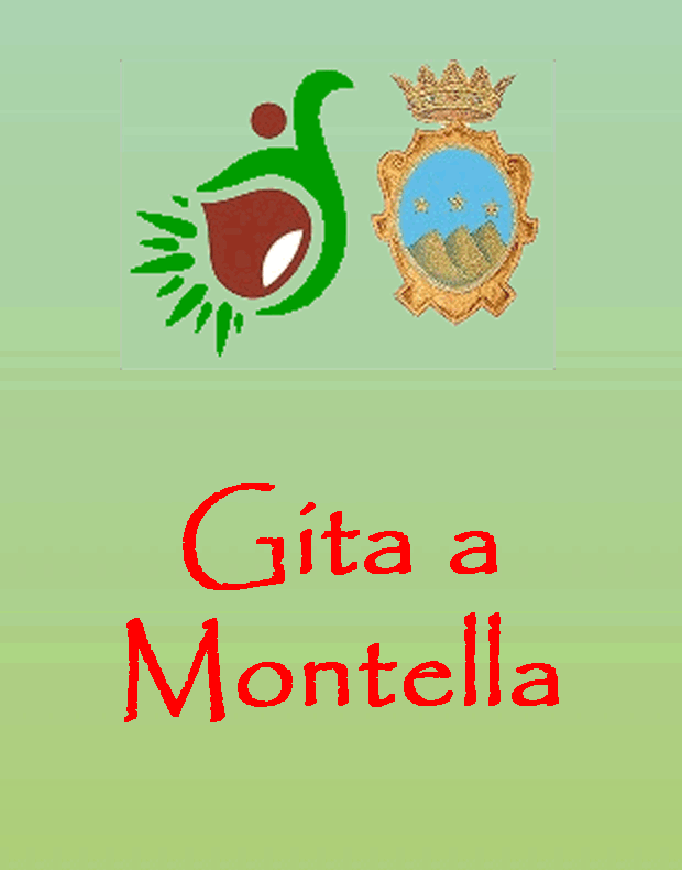 miniatura Gita a Montella
